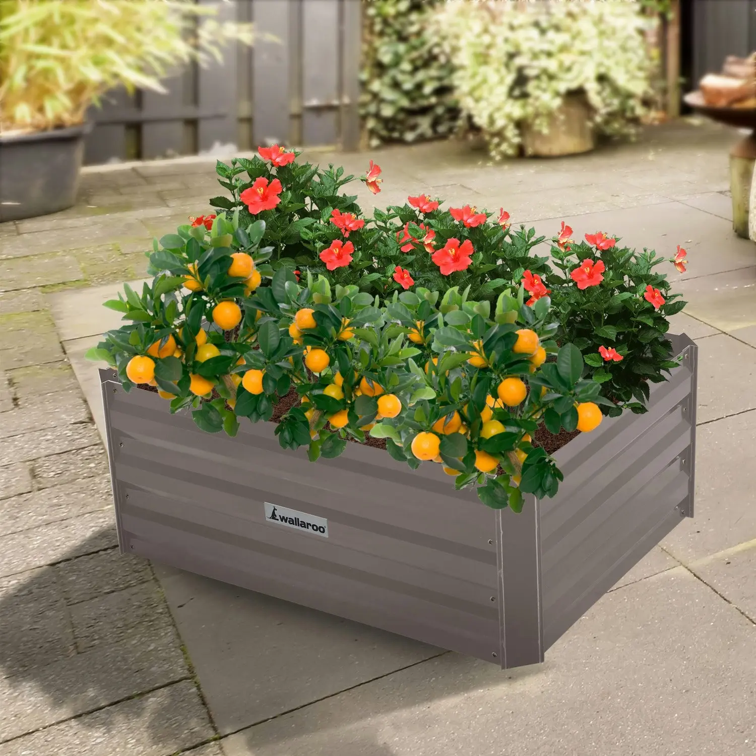 Wallaroo 80 x 60 x 30cm Galvanized Steel Garden Bed - Grey