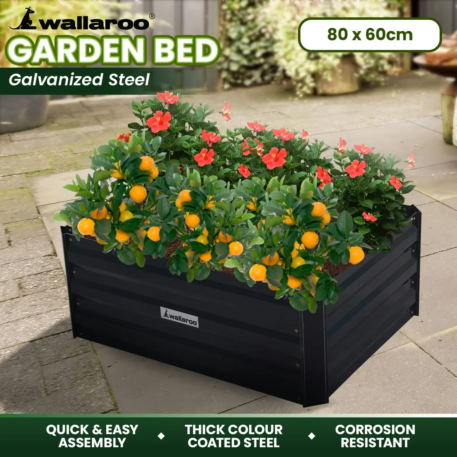 Wallaroo 80 x 60 x 30cm Galvanized Steel Garden Bed - Black