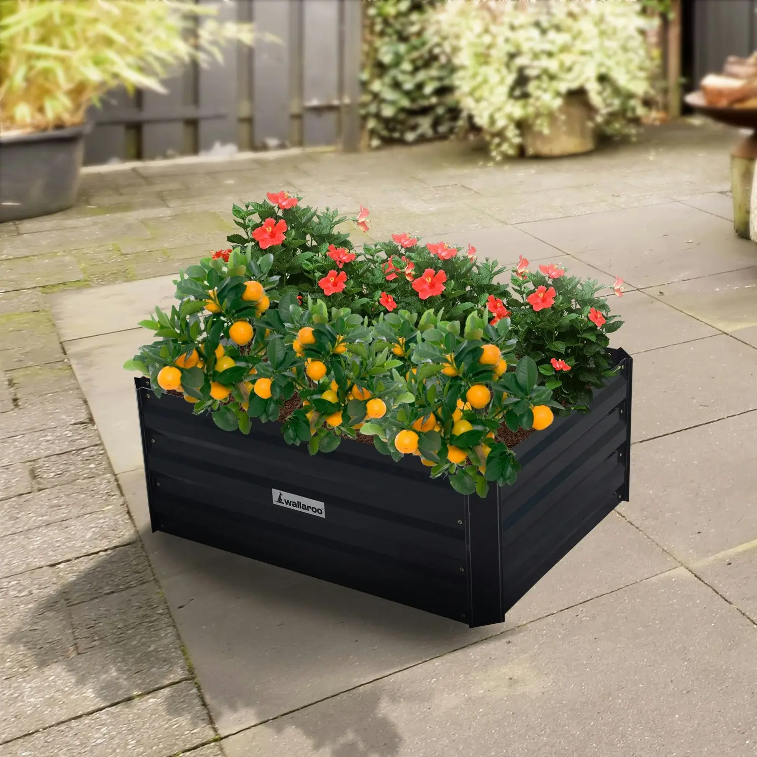 Wallaroo 80 x 60 x 30cm Galvanized Steel Garden Bed - Black