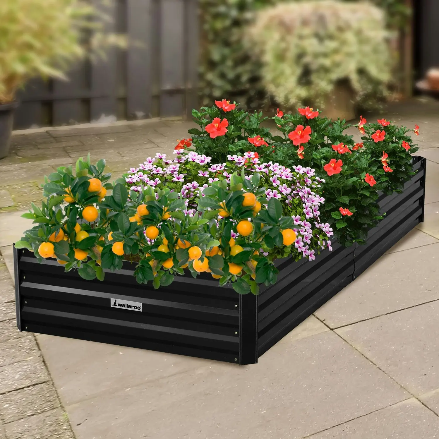 Wallaroo 210 x 90 x 30cm Galvanized Steel Garden Bed - Black