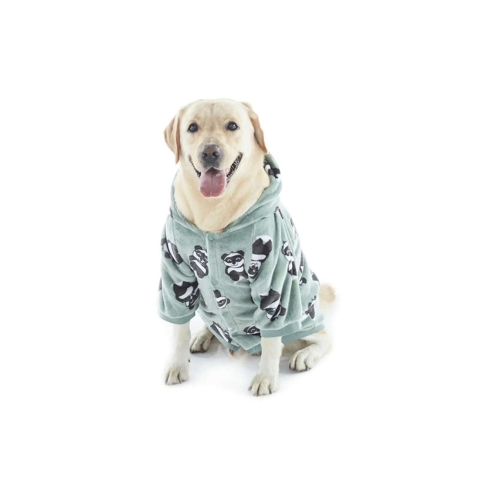 Charlie's Dog Hoodie