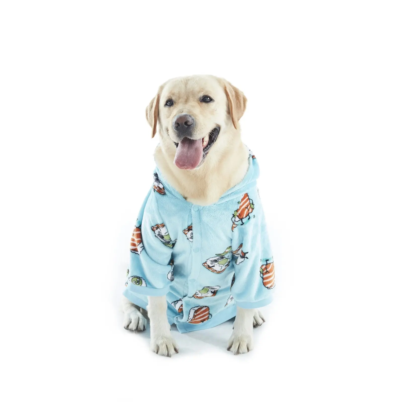 Charlie's Dog Hoodie