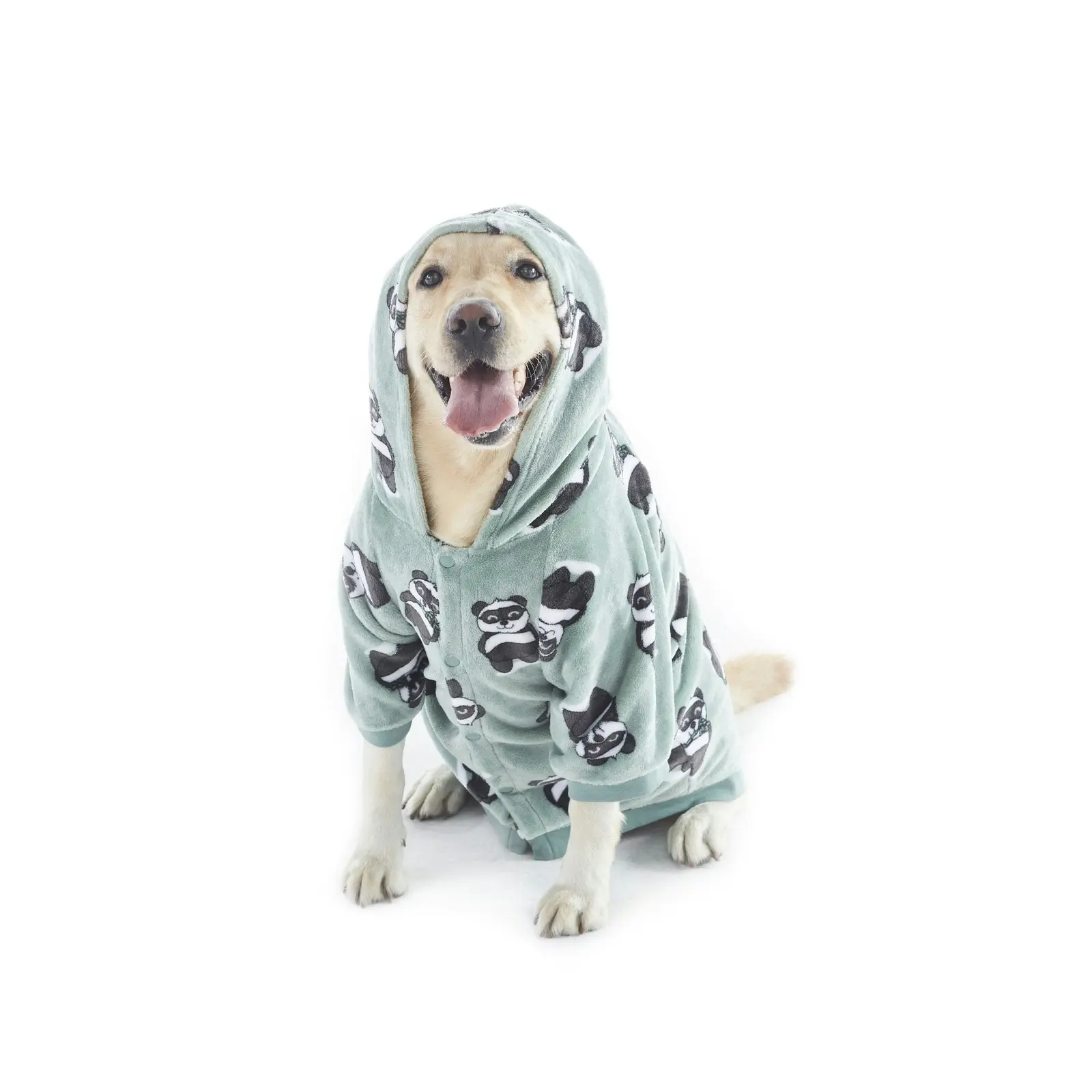 Charlie's Dog Hoodie