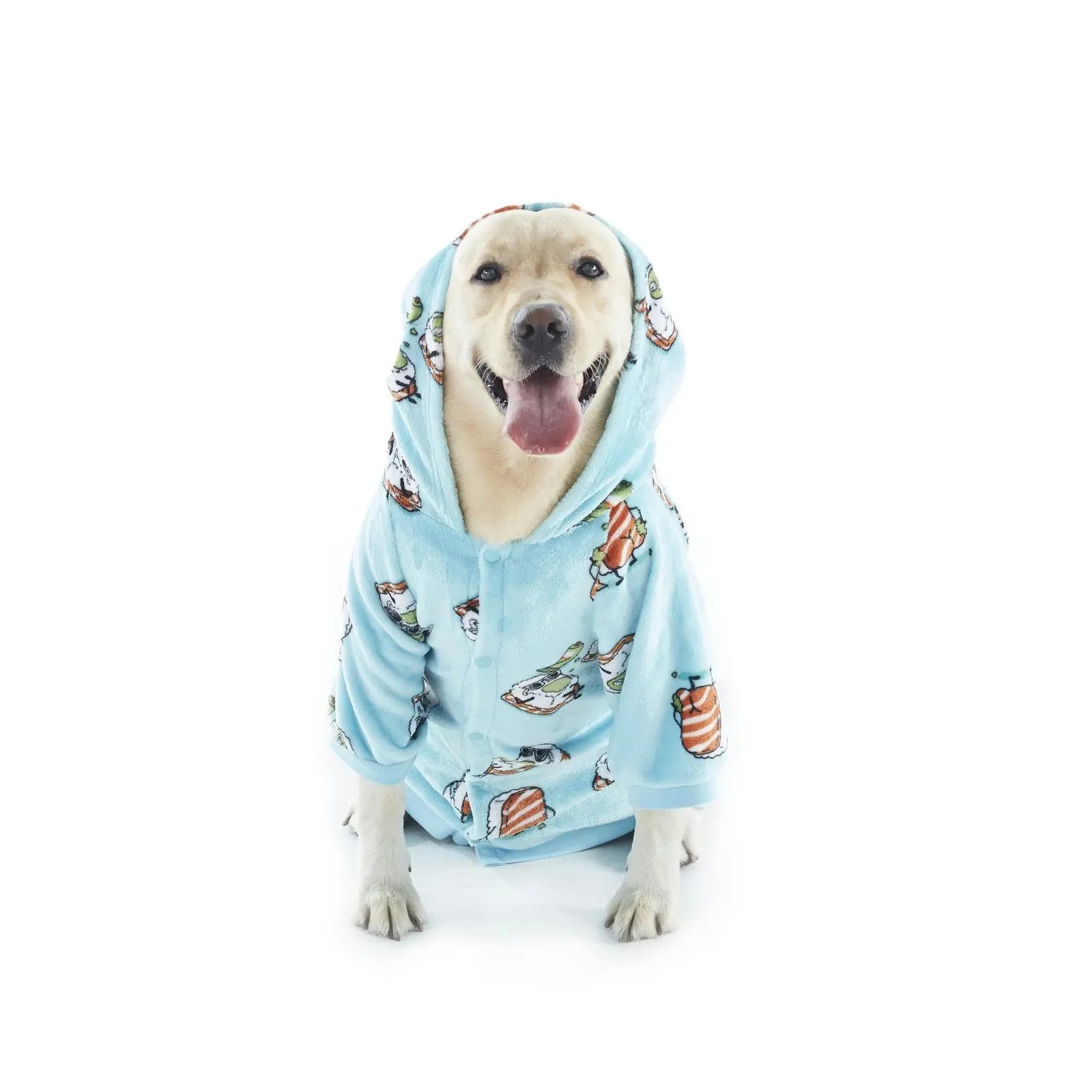 Charlie's Dog Hoodie