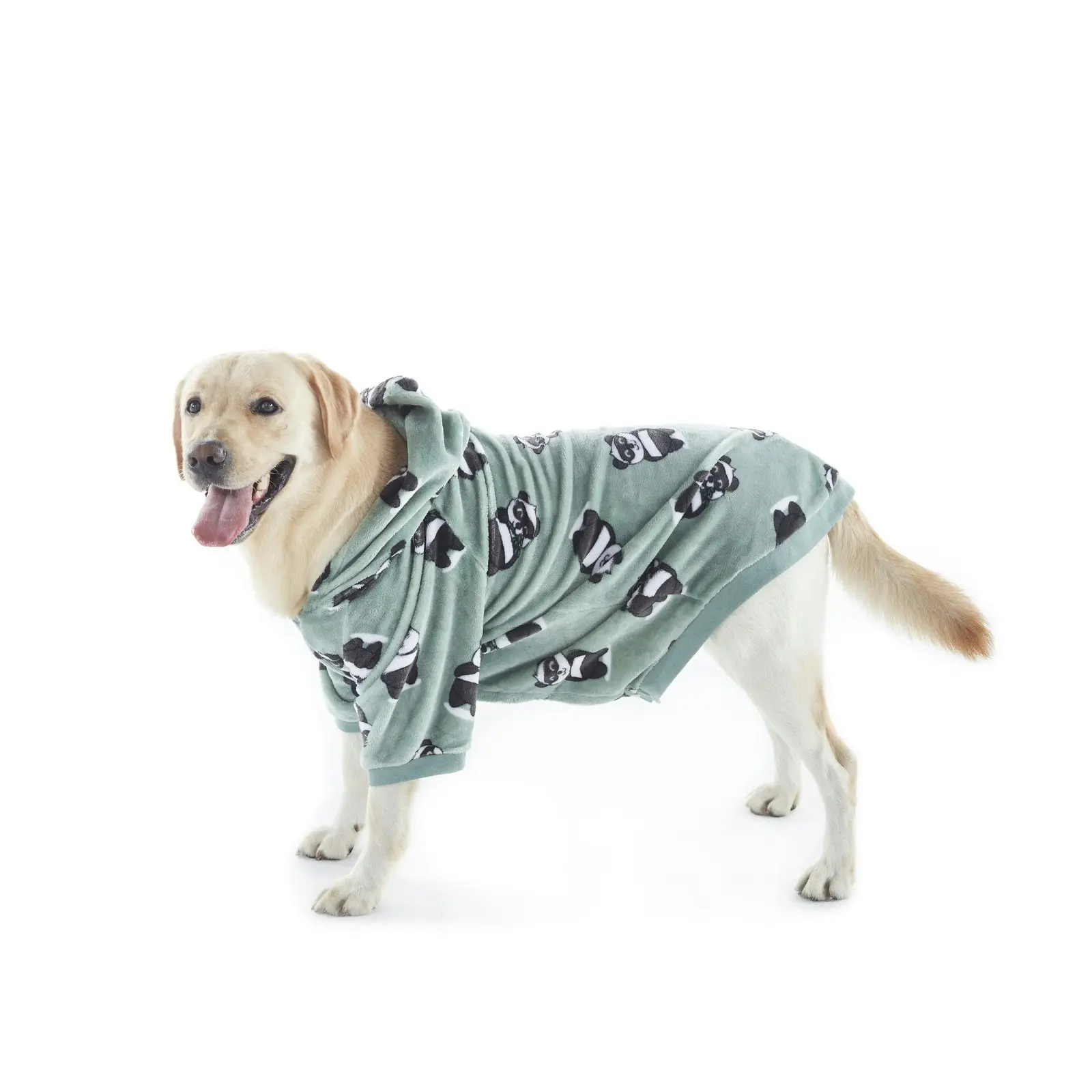 Charlie's Dog Hoodie