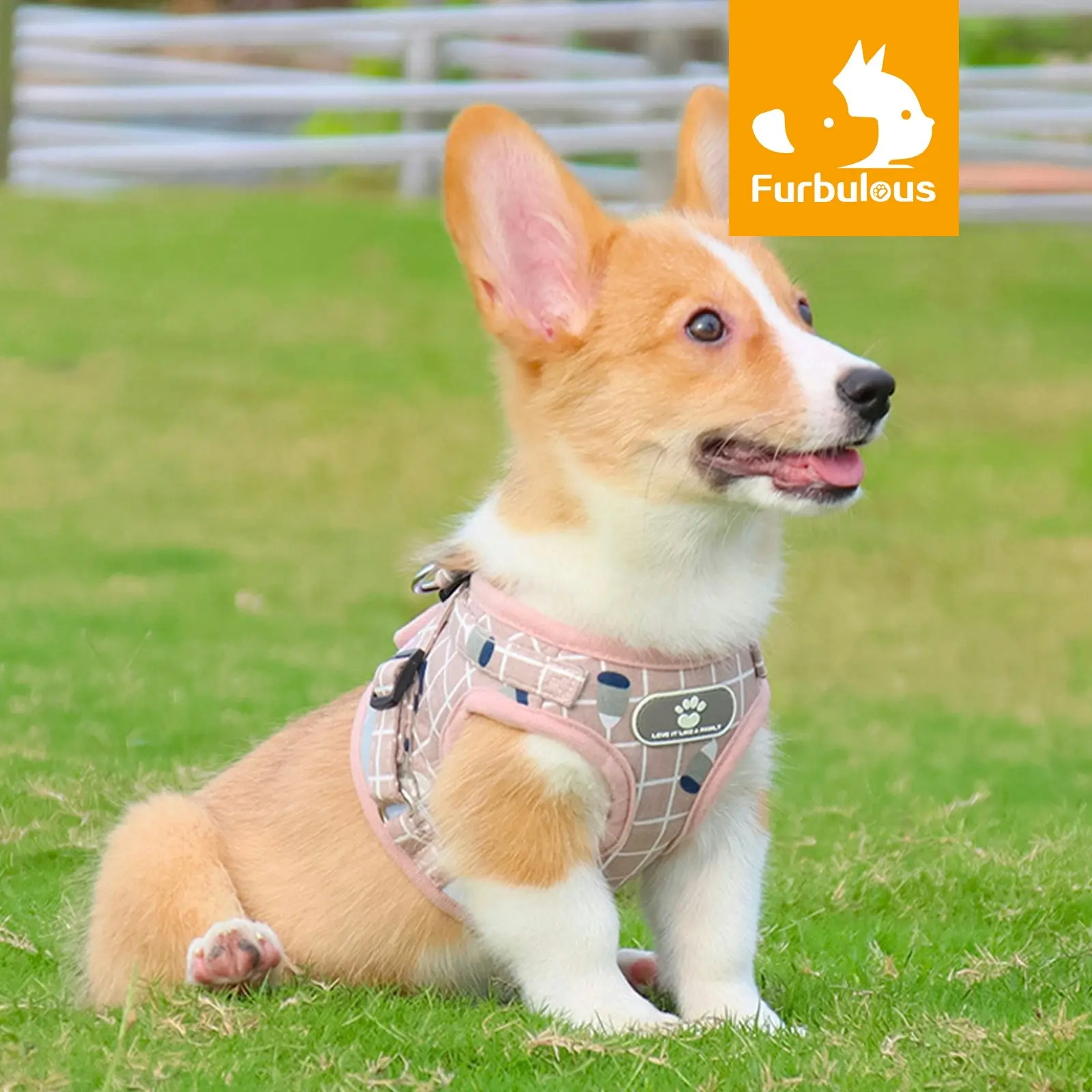 Furbulous No Pull Cat Small Dog Harness and Lead Set Adjustable Reflective Step-in Vest Harnesses Mesh Padded Plaid Escape Proof Puppy Jacket