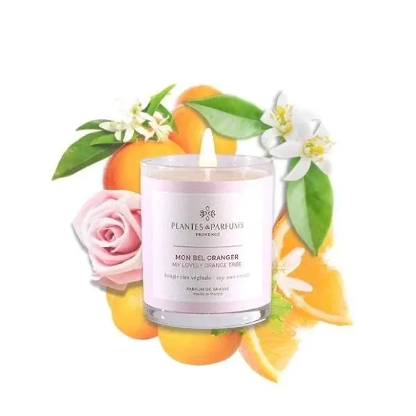 Plantes & Parfums | 75g Handcrafted Perfumed Candle - My Lovely Orange Tree