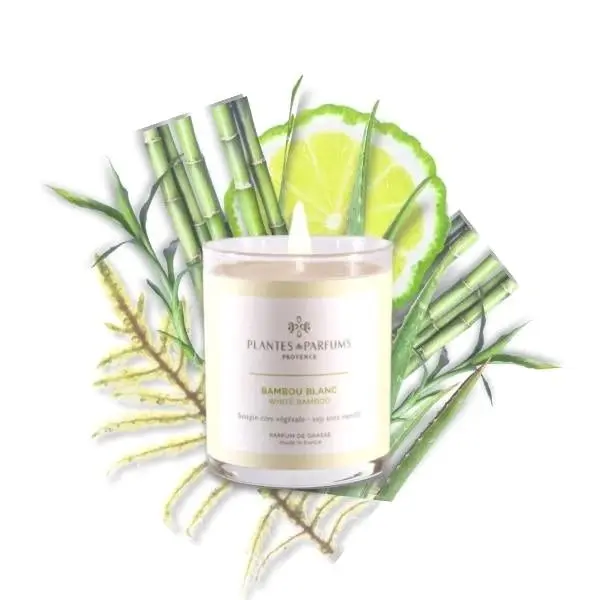 Plantes & Parfums | 75g Handcrafted Perfumed Candle - White Bamboo