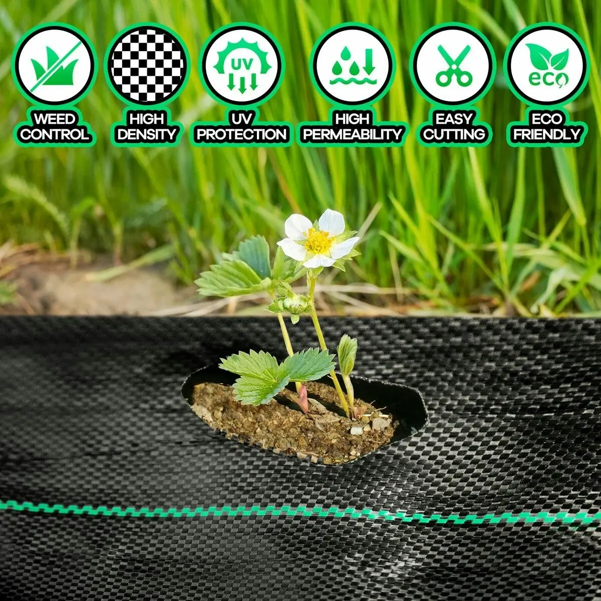 OGL Weed Control Mat Barrier Gardening Ground Cover Landscape Plastic Block Guard 80GSM 1.83 x 50 M