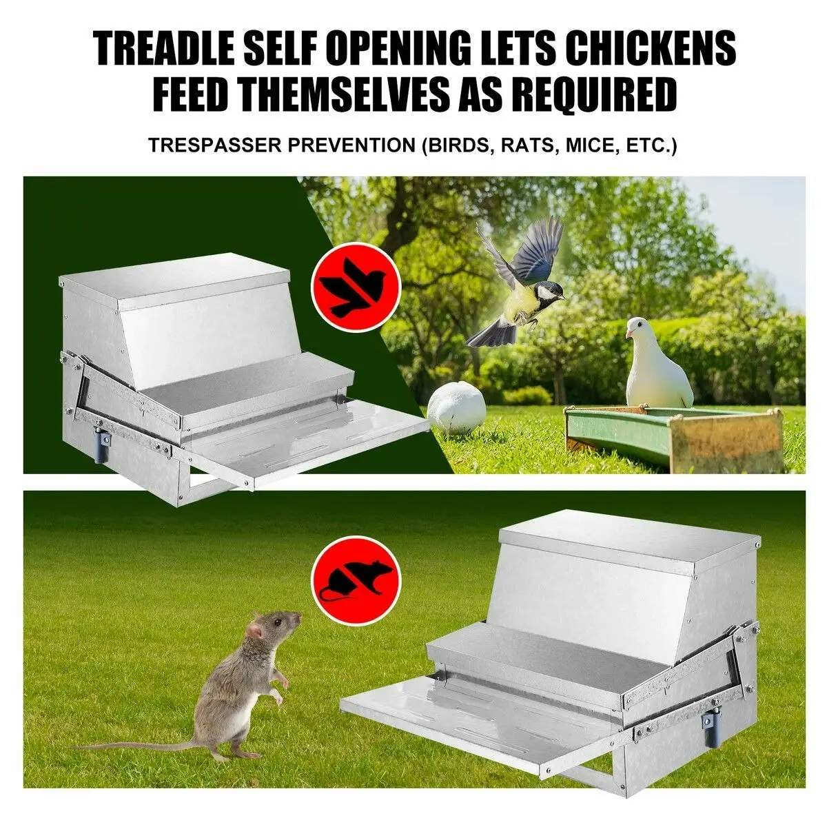 Pet Scene Auto Chicken Feeder Automatic Poultry Chook Food Feeding Treadle Spillproof Galvanized Steel Self Opening 10L