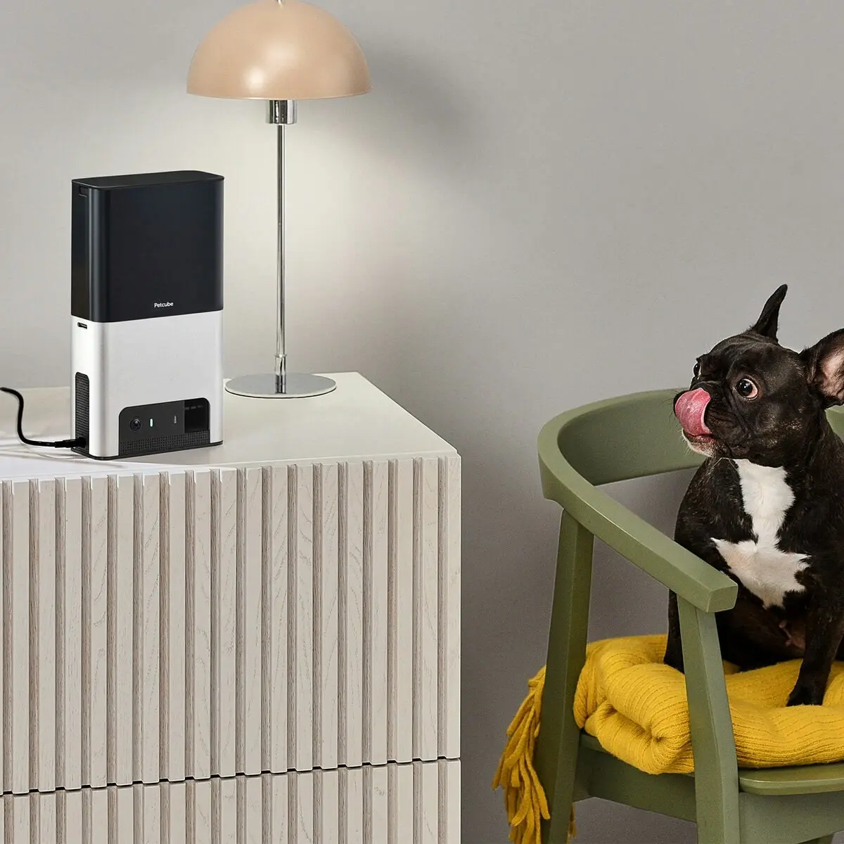 Petcube Bites 2 Interactive Wi-Fi Pet Camera and Treat Dispenser