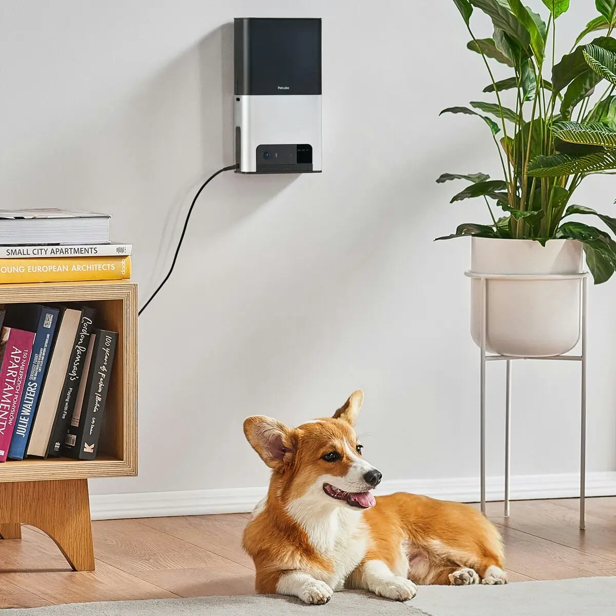 Petcube Bites 2 Interactive Wi-Fi Pet Camera and Treat Dispenser