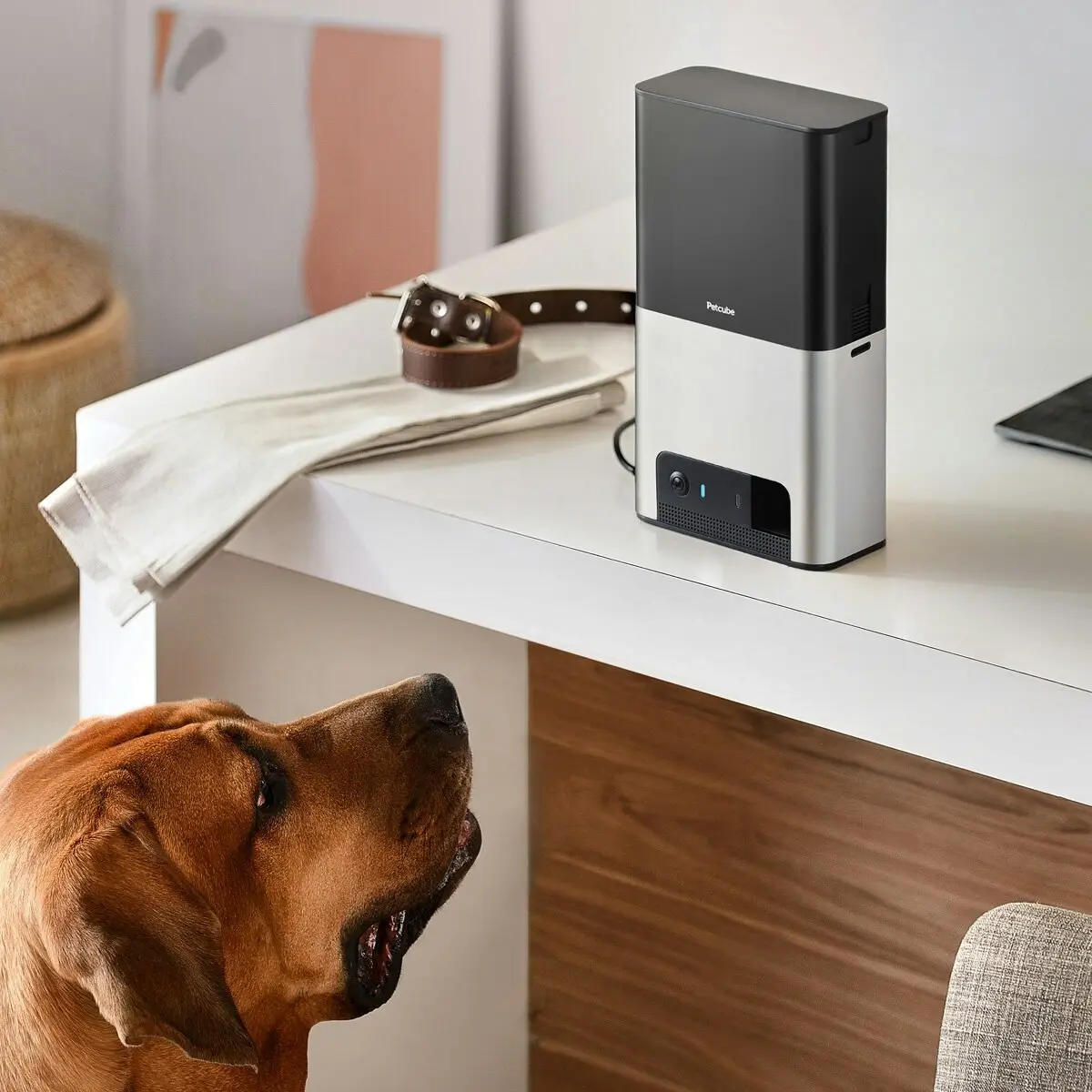 Petcube Bites 2 Interactive Wi-Fi Pet Camera and Treat Dispenser