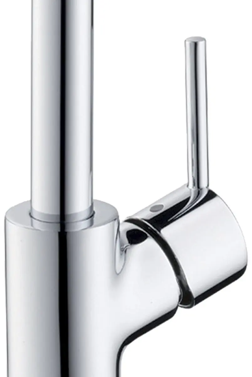 Hansgrohe Talis S2 Variarc Goose Neck Kitchen Mixer Tap