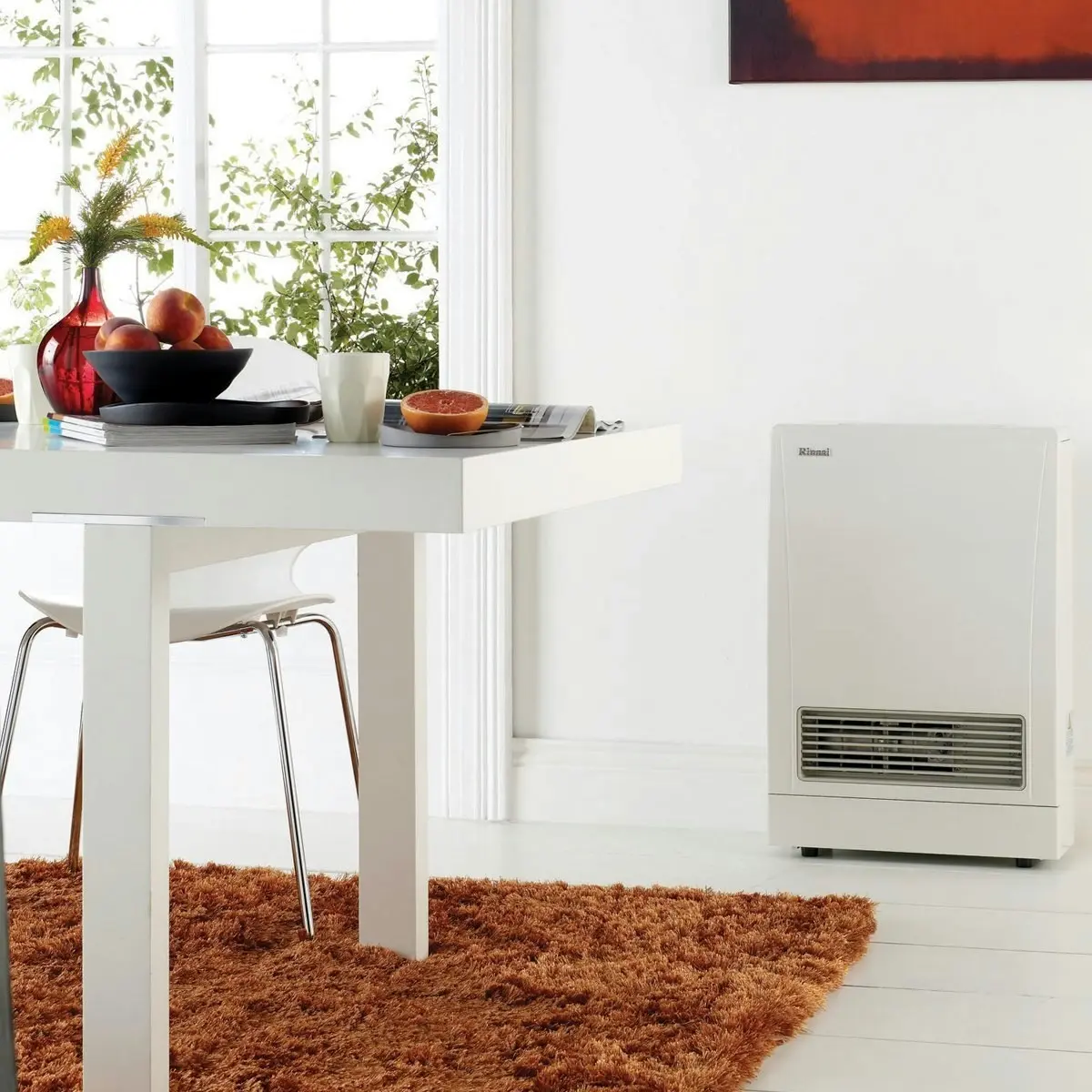 Rinnai EnergySaver Flued Natural Gas Heater