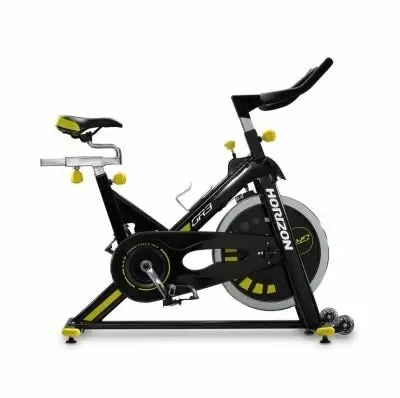 Horizon Fitness Horizon GR3 Spin Bike