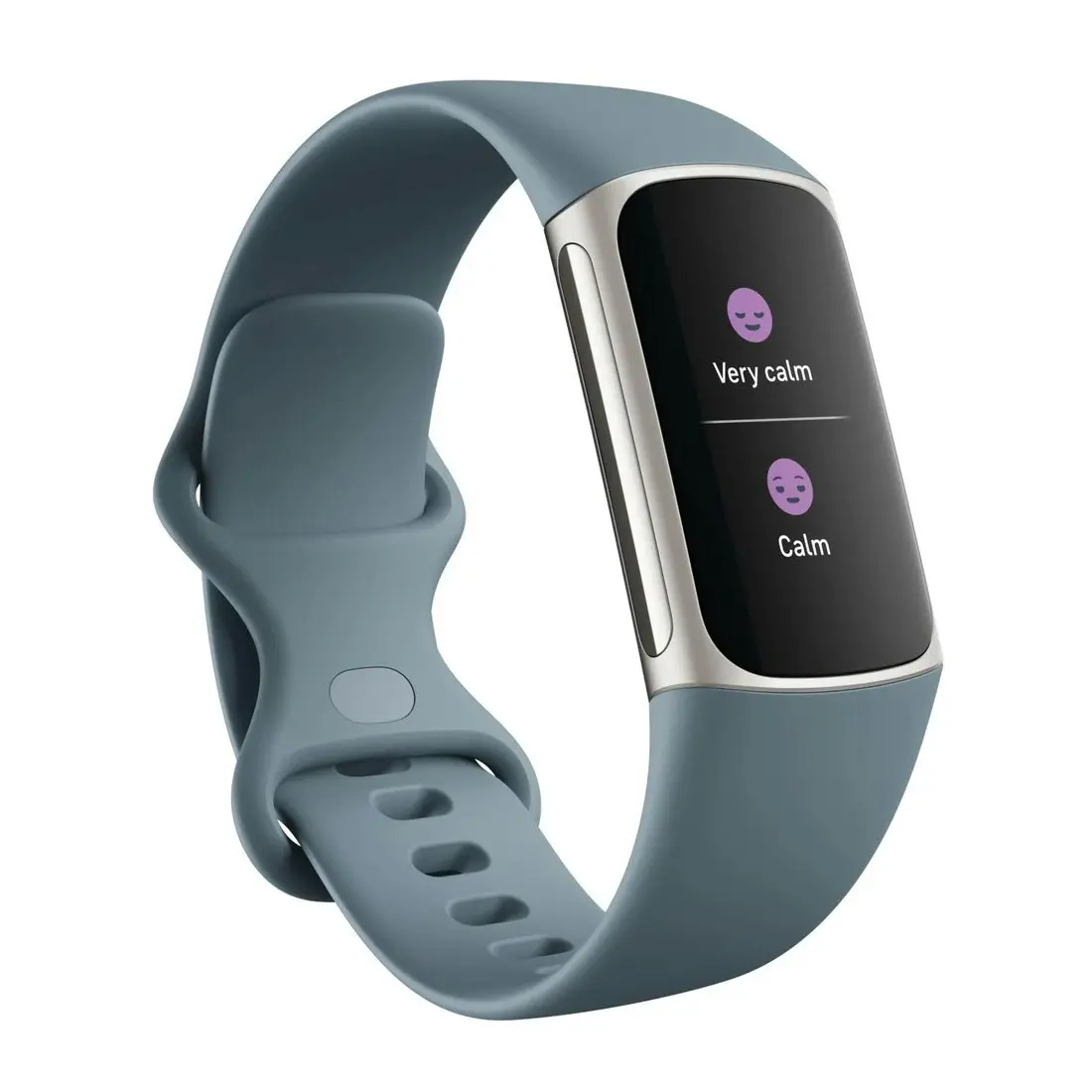 Fitbit Charge 5 Fitness Watch