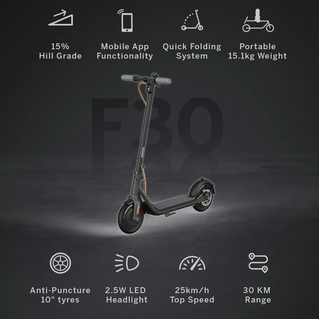 Segway Ninebot Kickscooter F30 - Black