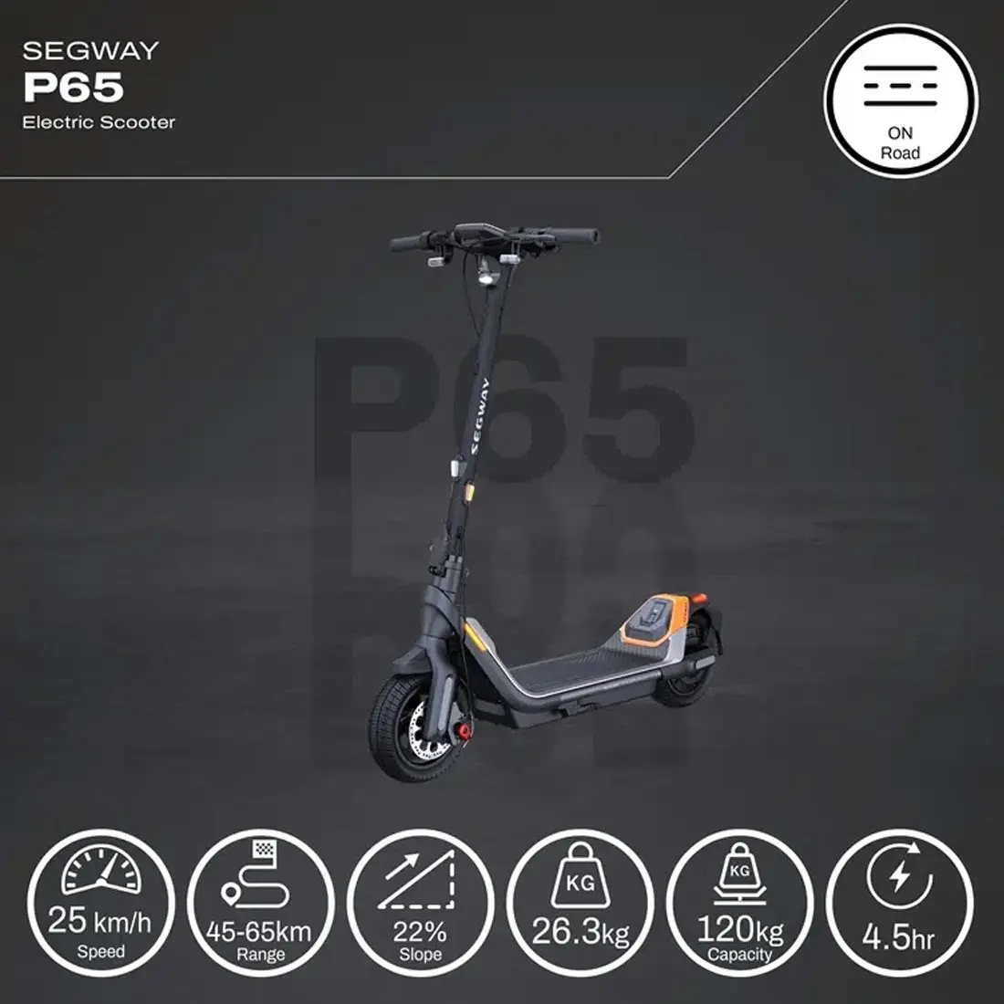 Segway Ninebot Electric Scooter P65A (65 km Long Range, Disc Brake & Electric Brake)