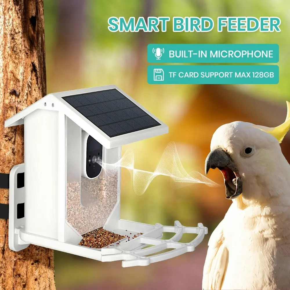 Taily Solar Smart Bird Feeder with Camera Waterproof for Garden Bird Watching