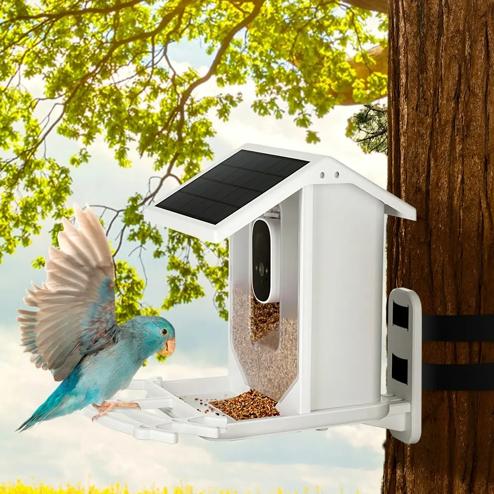 Taily Solar Smart Bird Feeder with Camera Waterproof for Garden Bird Watching