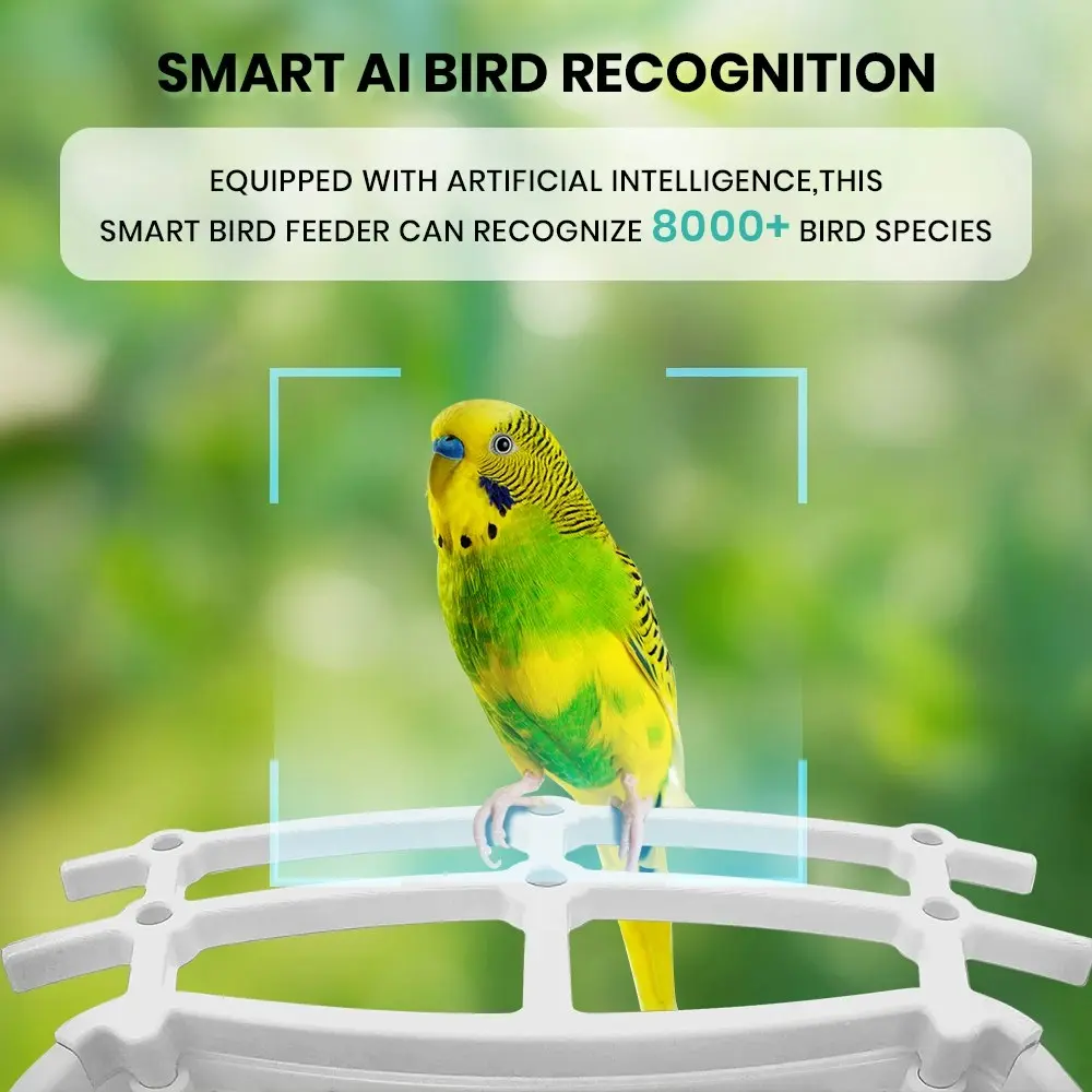 Taily Solar Smart Bird Feeder with Camera Waterproof for Garden Bird Watching