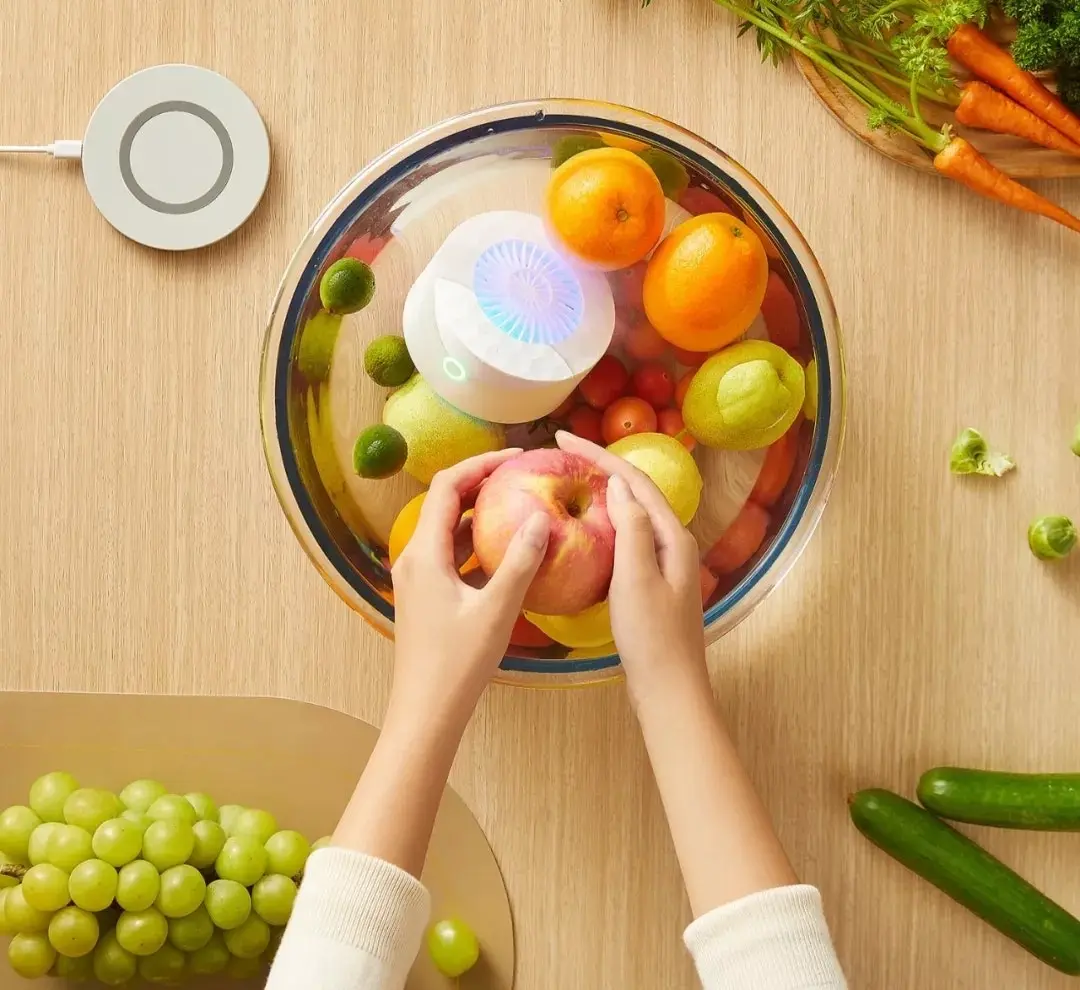 TODO Portable Fruit and Vegetable Ion Purifier Steriliser Portable Rechargeable EraClean IPX7