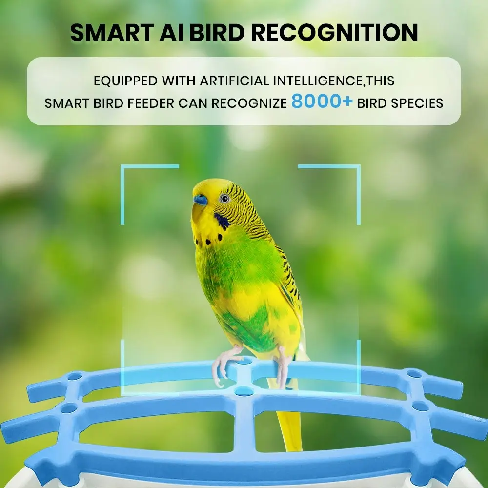 Taily Solar Smart Bird Feeder with Camera Waterproof for Garden Outdoor Bird Watching