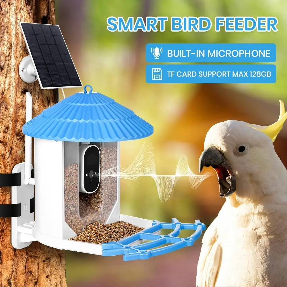 Taily Solar Smart Bird Feeder with Camera Waterproof for Garden Outdoor Bird Watching