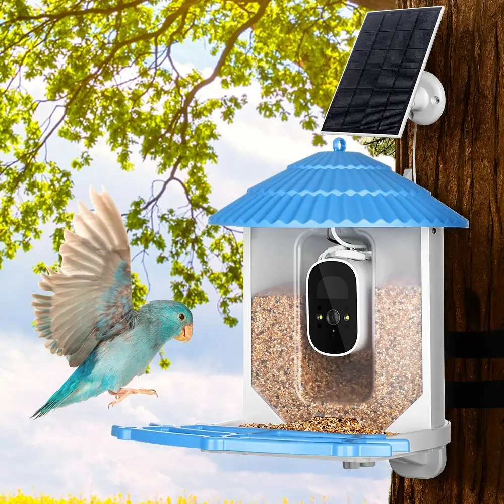 Taily Solar Smart Bird Feeder with Camera Waterproof for Garden Outdoor Bird Watching