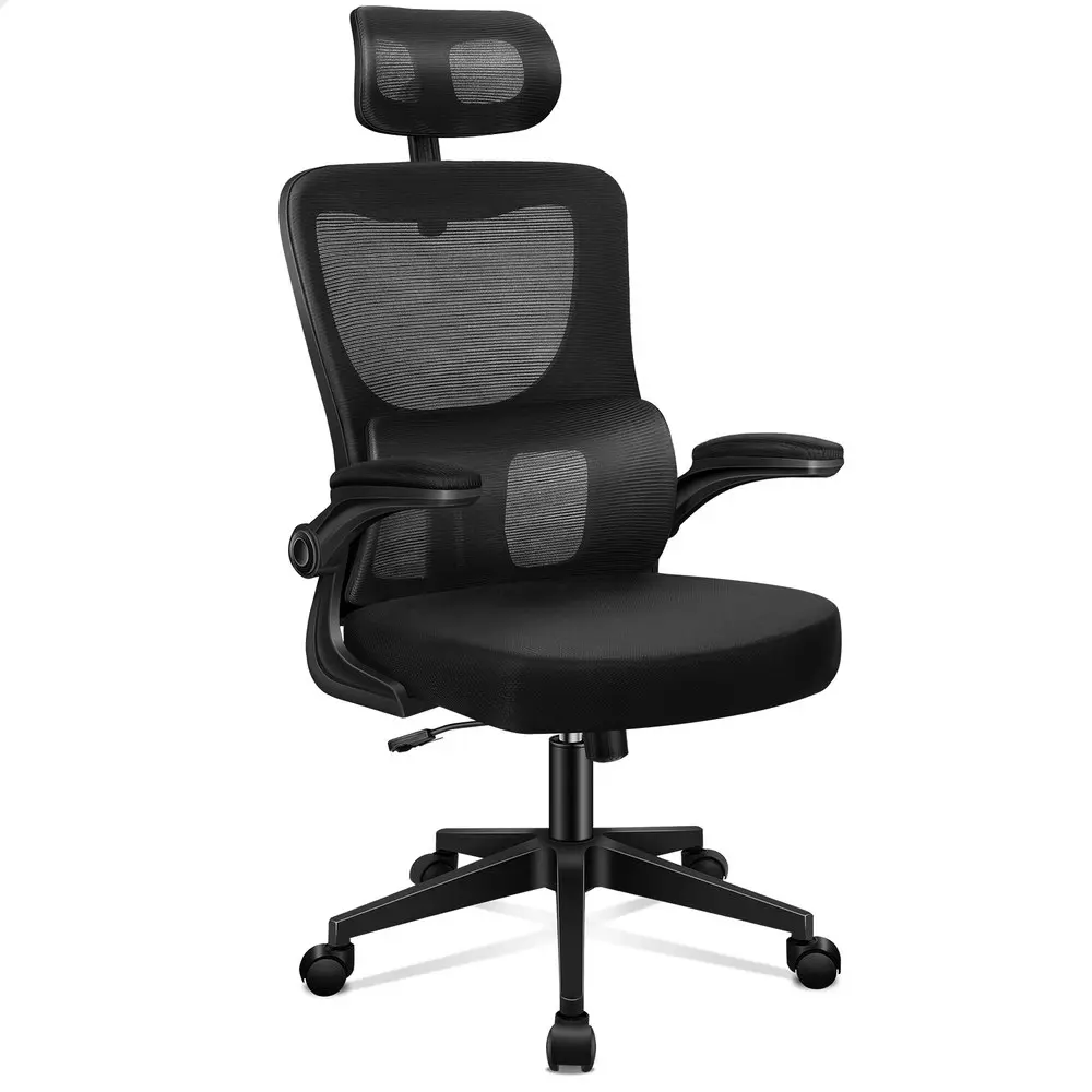 Alfordson Headrest Adjustable Mesh Office Chair with Flip-up Arms All Black