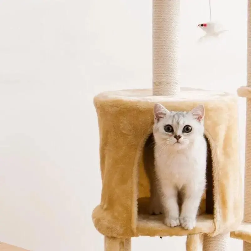 Cat Tree Scratching Post Gym House Condo Scratcher Furniture Tower