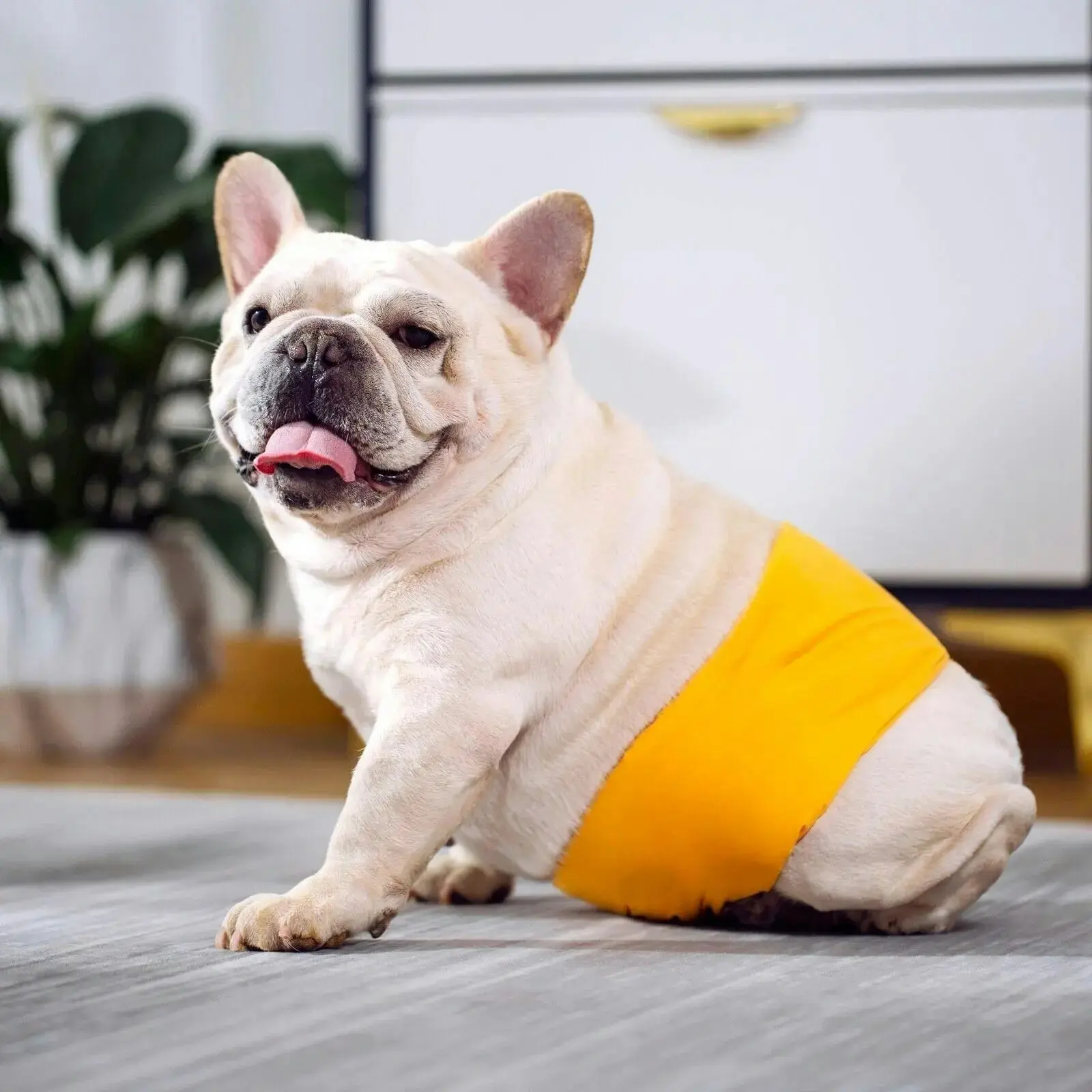 XL Male Dog Puppy Nappy Diaper Belly Wrap Band Sanitary Pants Underpants