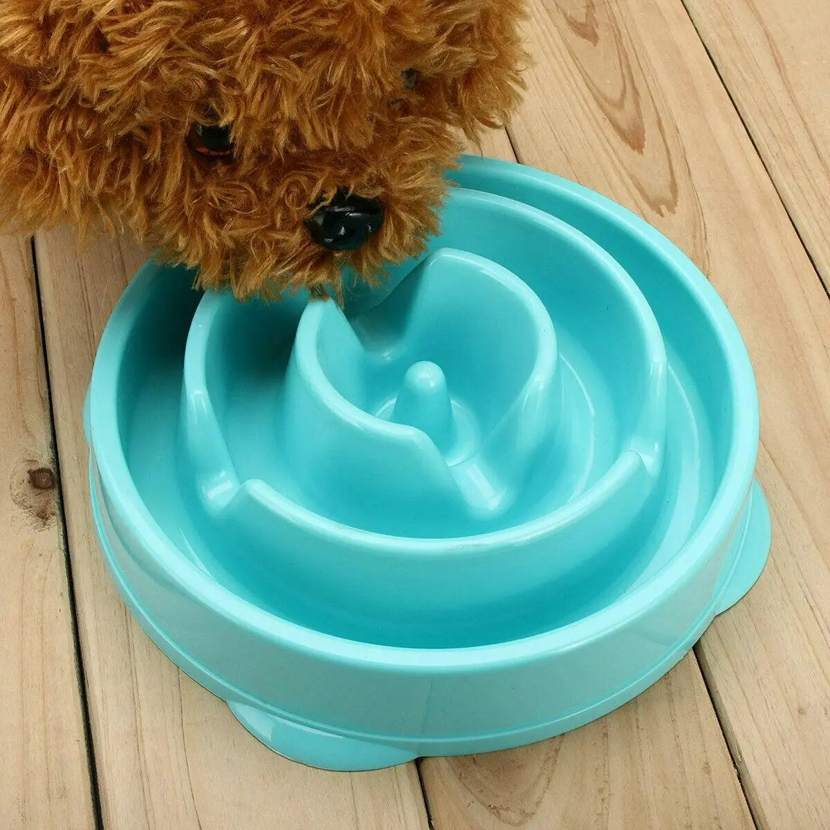 New Cat Dog Slow Down Eating Feeder Dish Pet Large / Small Feeding Food Bowl  Au