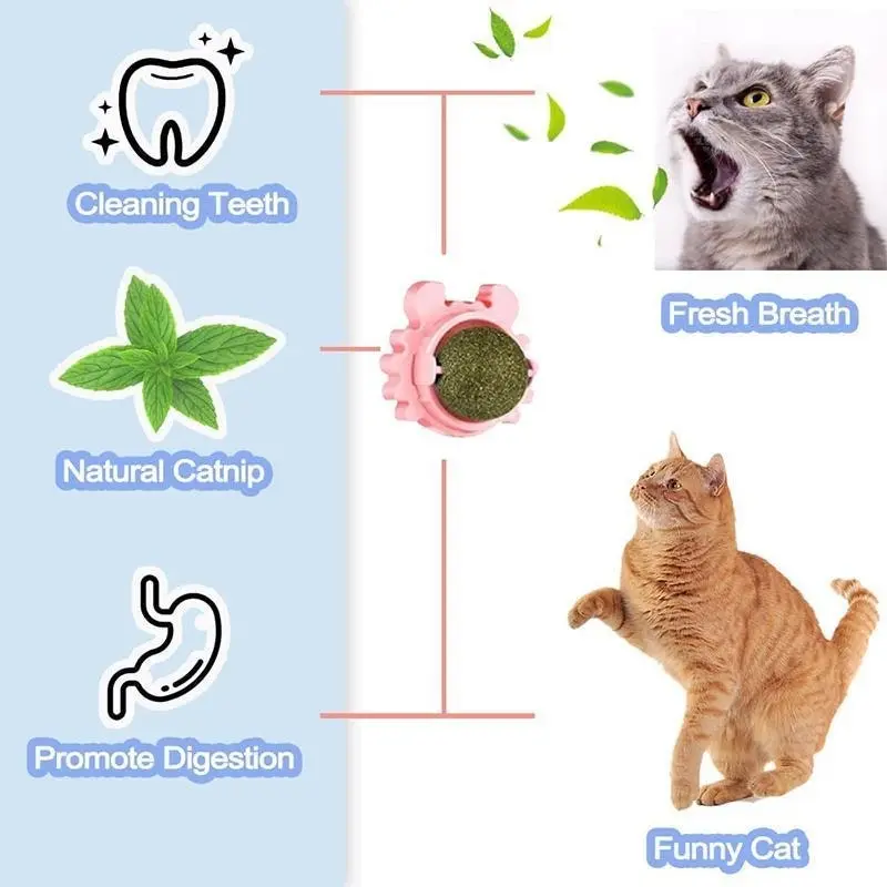 2PCS Rotatable Catnip Mint Ball Cat Treat Toys Licking Snack Cat Molar