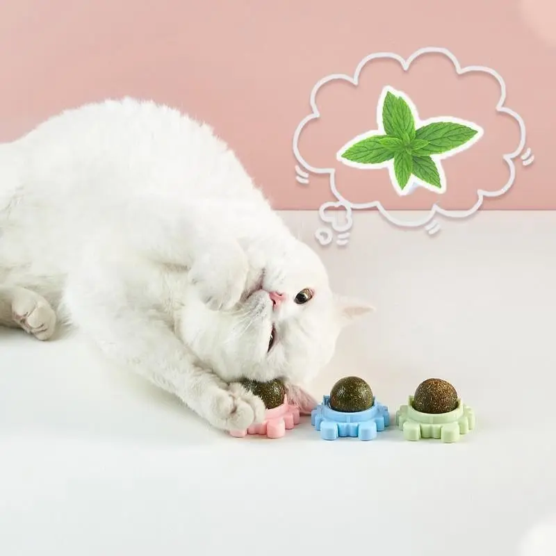 2PCS Rotatable Catnip Mint Ball Cat Treat Toys Licking Snack Cat Molar