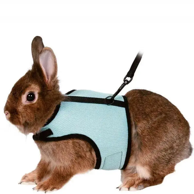 Small Animal Harness Guinea Pig Forret Hamster Rabbit Squirrel Vest Clothes Lead XL Size