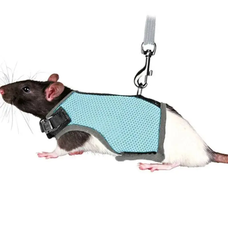 Small Animal Harness Guinea Pig Forret Hamster Rabbit Squirrel Vest Clothes Lead XL Size