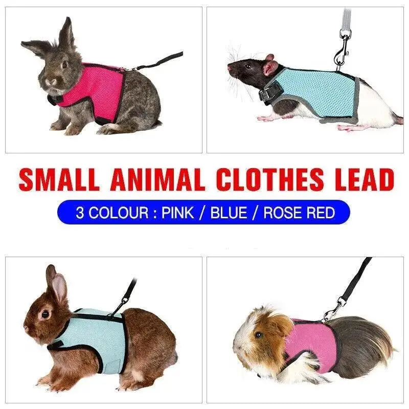 Small Animal Harness Guinea Pig Forret Hamster Rabbit Squirrel Vest Clothes Lead XL Size