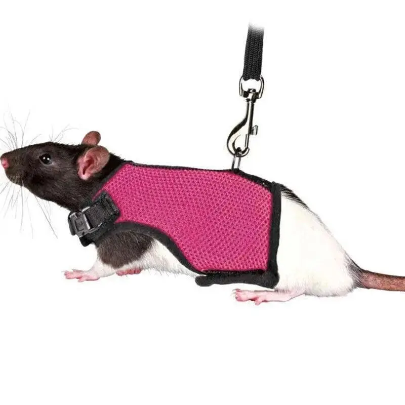 Small Animal Harness Guinea Pig Forret Hamster Rabbit Squirrel Vest Clothes Lead XL Size