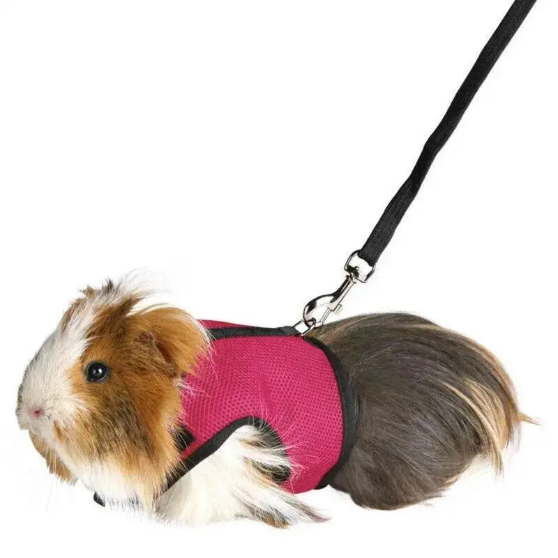 Small Animal Harness Guinea Pig Forret Hamster Rabbit Squirrel Vest Clothes Lead XL Size