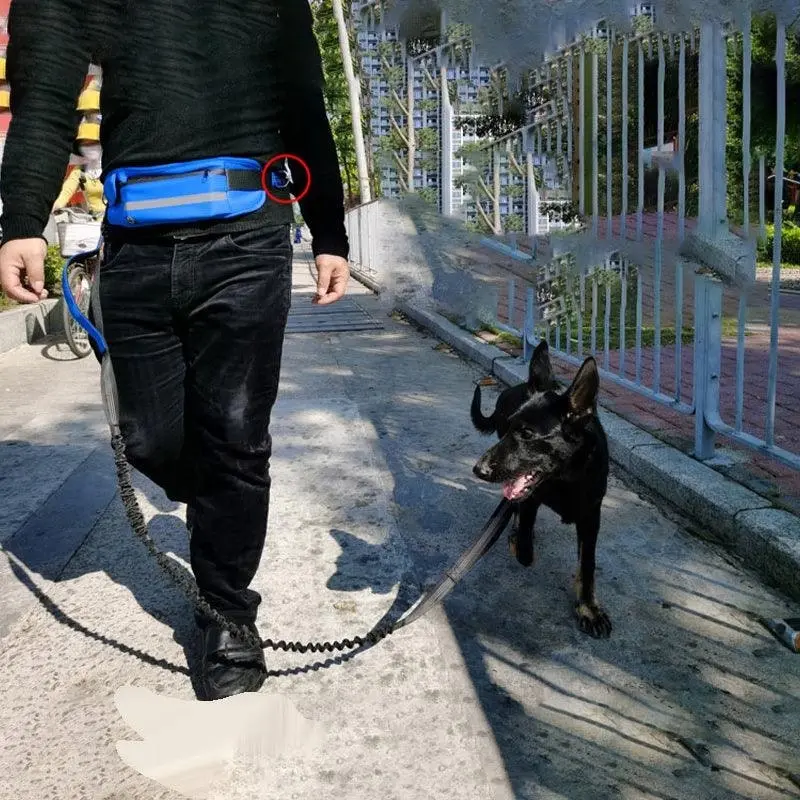 Adjustable Hands Free Dog Leash Lead + Waist Bag Belt Jogging Walking Running