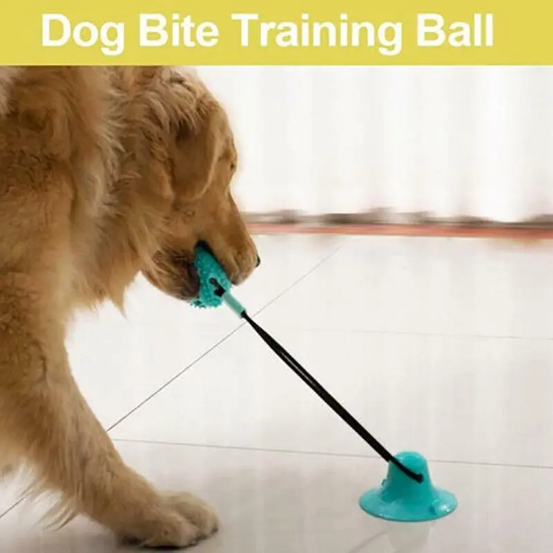 Pet Molar Bite Toy Multifunction Floor Suction Cup Dog Balls Interactive Puppyau