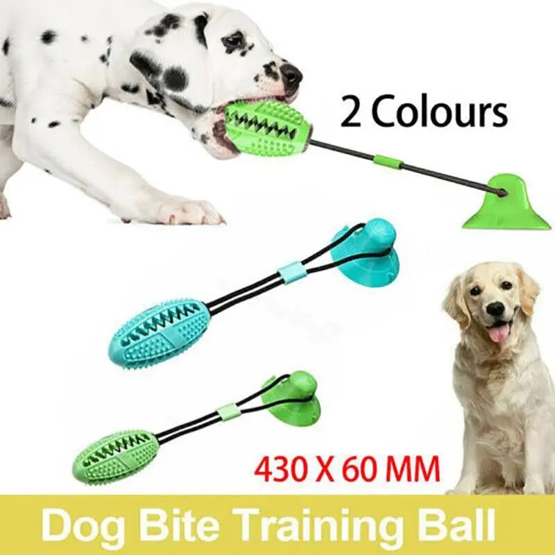 Pet Molar Bite Toy Multifunction Floor Suction Cup Dog Balls Interactive Puppyau