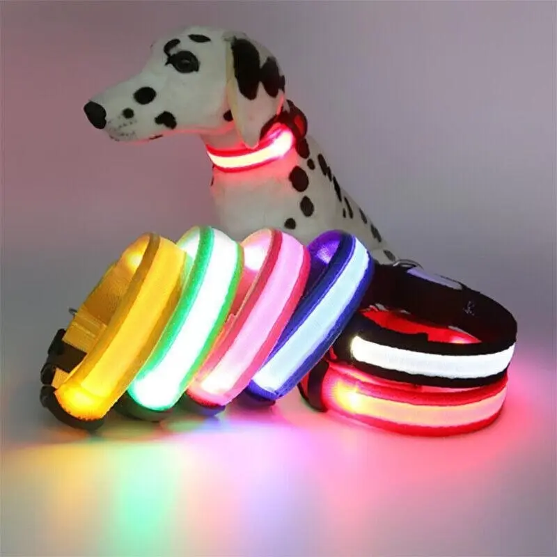 S Size Usb Rechargeable Led Dog Collar Nylon Glow Flashing Light Up Pet Safety Collars