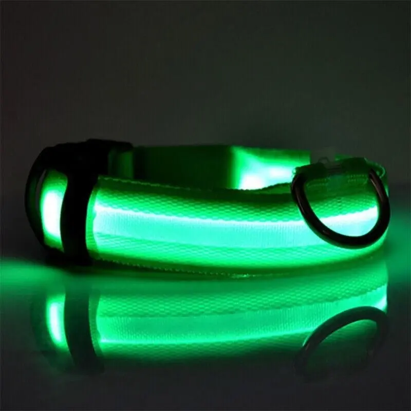 S Size Usb Rechargeable Led Dog Collar Nylon Glow Flashing Light Up Pet Safety Collars