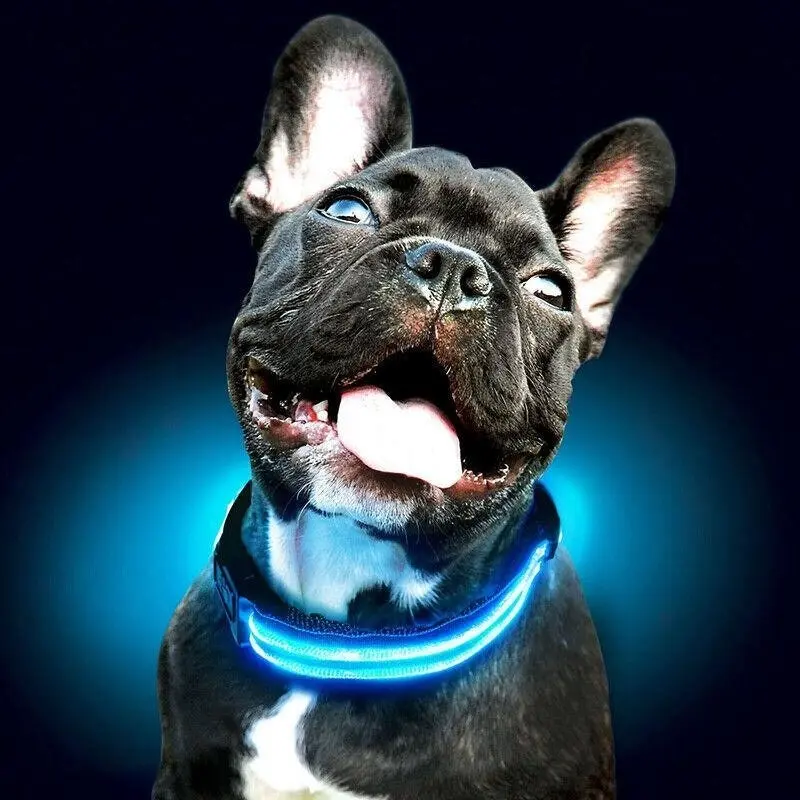 S Size Usb Rechargeable Led Dog Collar Nylon Glow Flashing Light Up Pet Safety Collars