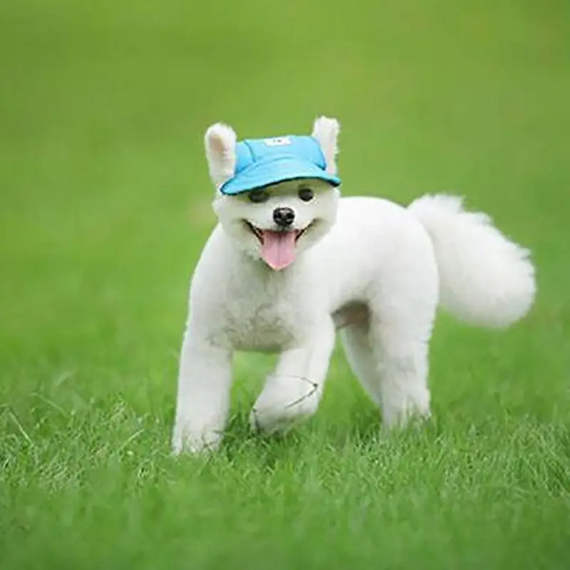 Dog Baseball Cap Outdoor Pet Sun Hat Summer Canvas Visor Puppy S Size