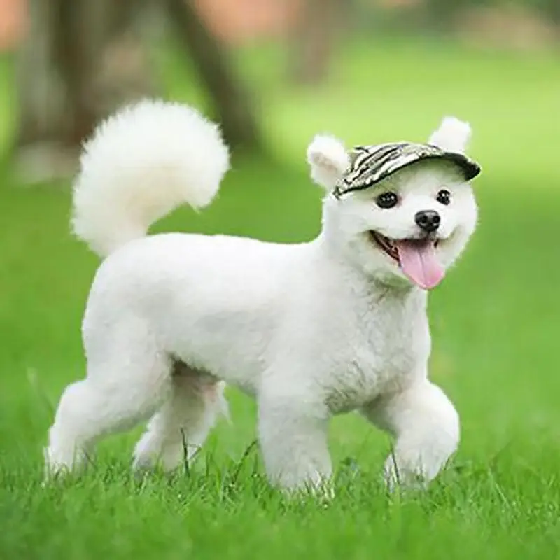 Dog Baseball Cap Outdoor Pet Sun Hat Summer Canvas Visor Puppy S Size