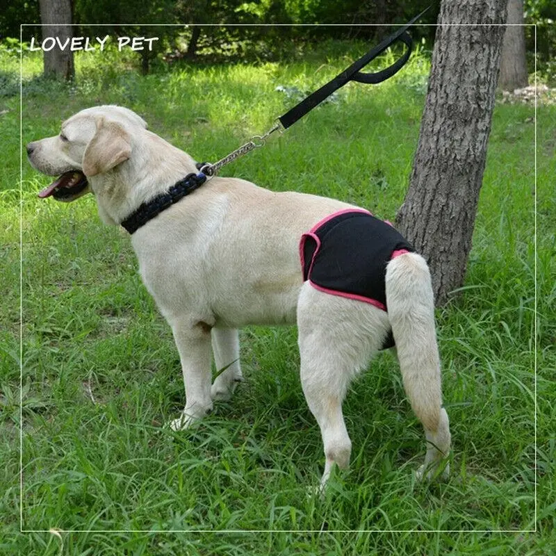 Xs-Xl Dog Pet Female Nappy Diapers Shorts Season Sanitary Pants Undiesunderpants